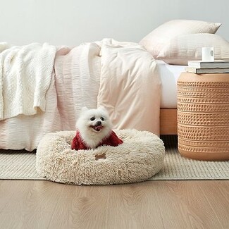 Pet Bed: Shaggy Faux Fur Donut Bolster Pet Lounger