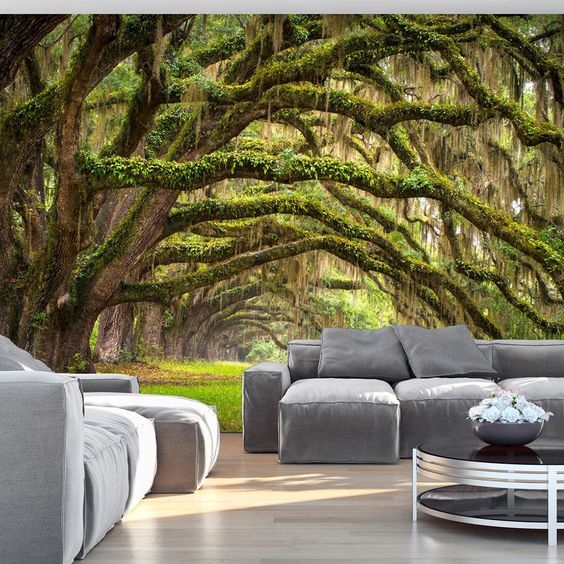 Printed Wallpaper: Spanish Moss Detail Forest Mural Art