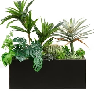 Rectangle Planter Matte Black Finish Mixed Botanical Display