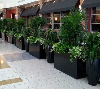 Rectangular Planter Box Commercial Scale Matte Black Divider