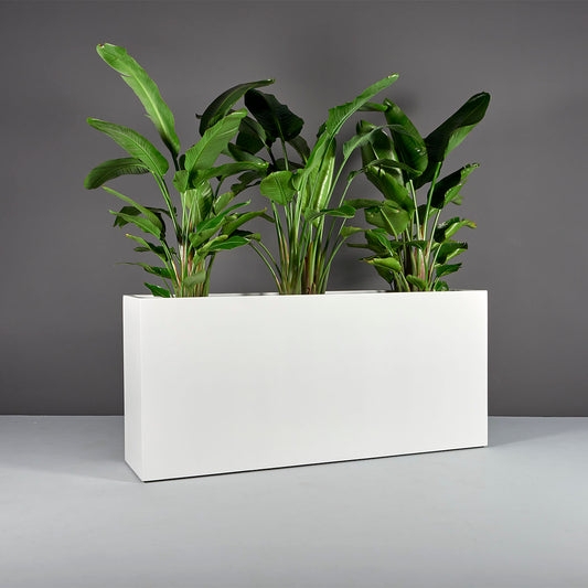 Rectangular Planter Seamless Edges Biophilic Design Divider