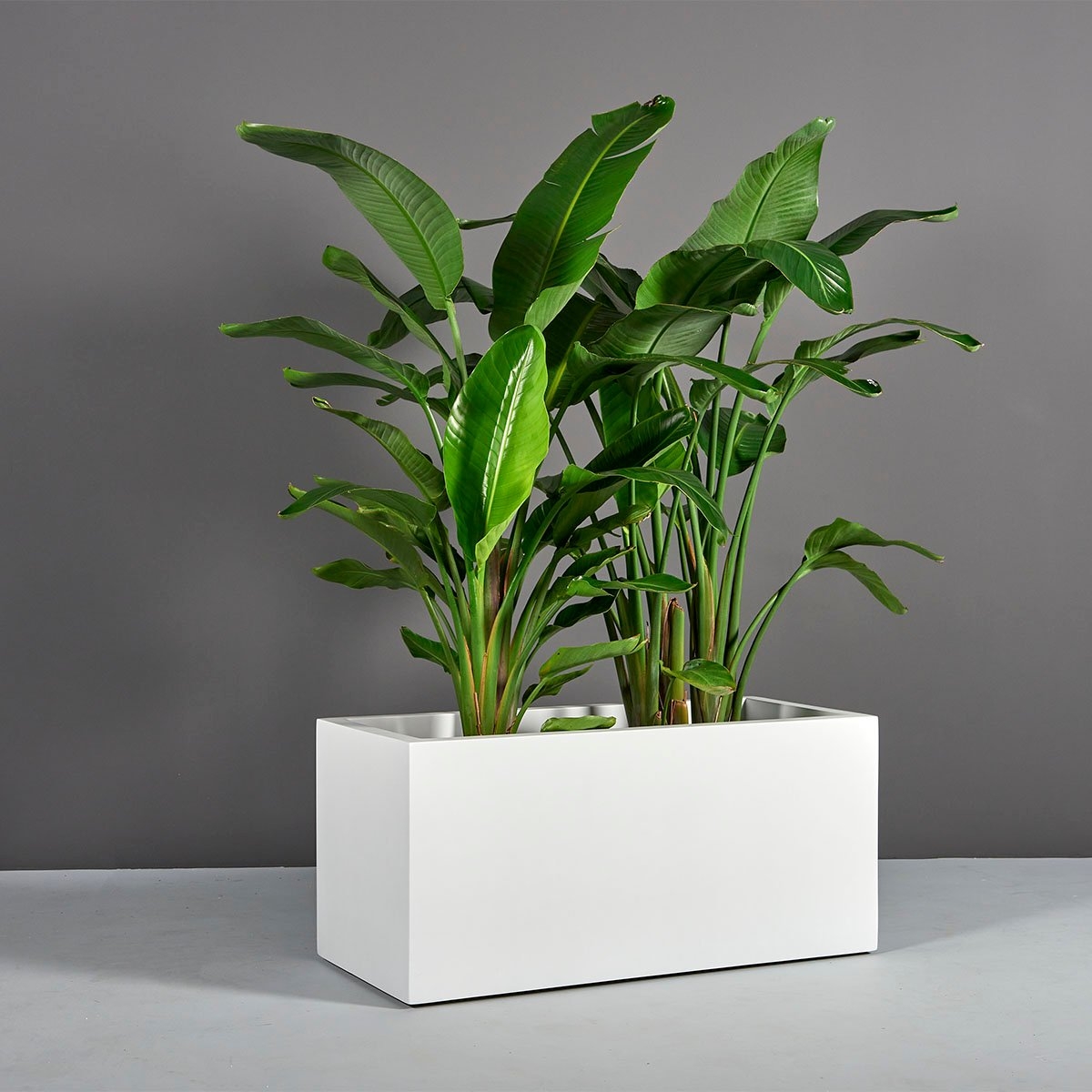 Rectangular Planter Trough Shape Seamless Edges Garden Box