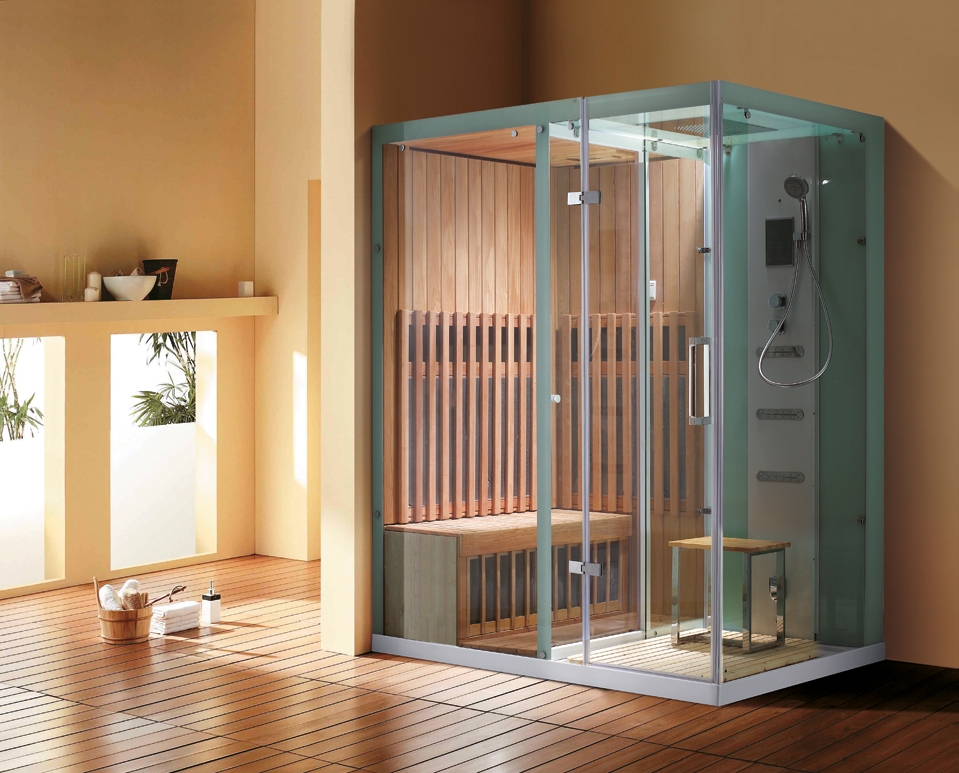 Sauna Steam Shower Tinted Glass Contemporary Wellness Zone