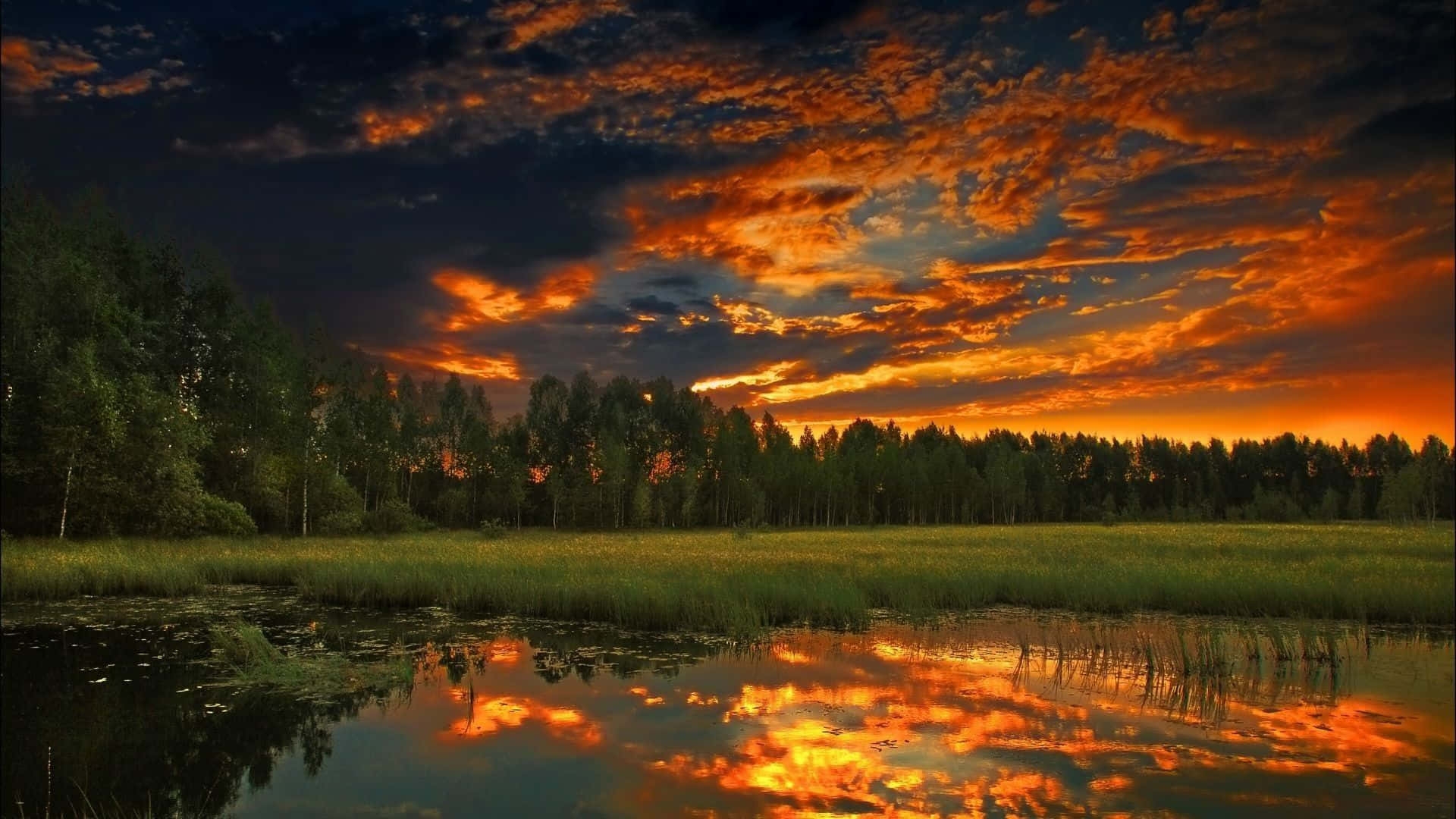 Scenic Landscape with Water Reflection Fiery Sunset Landscape