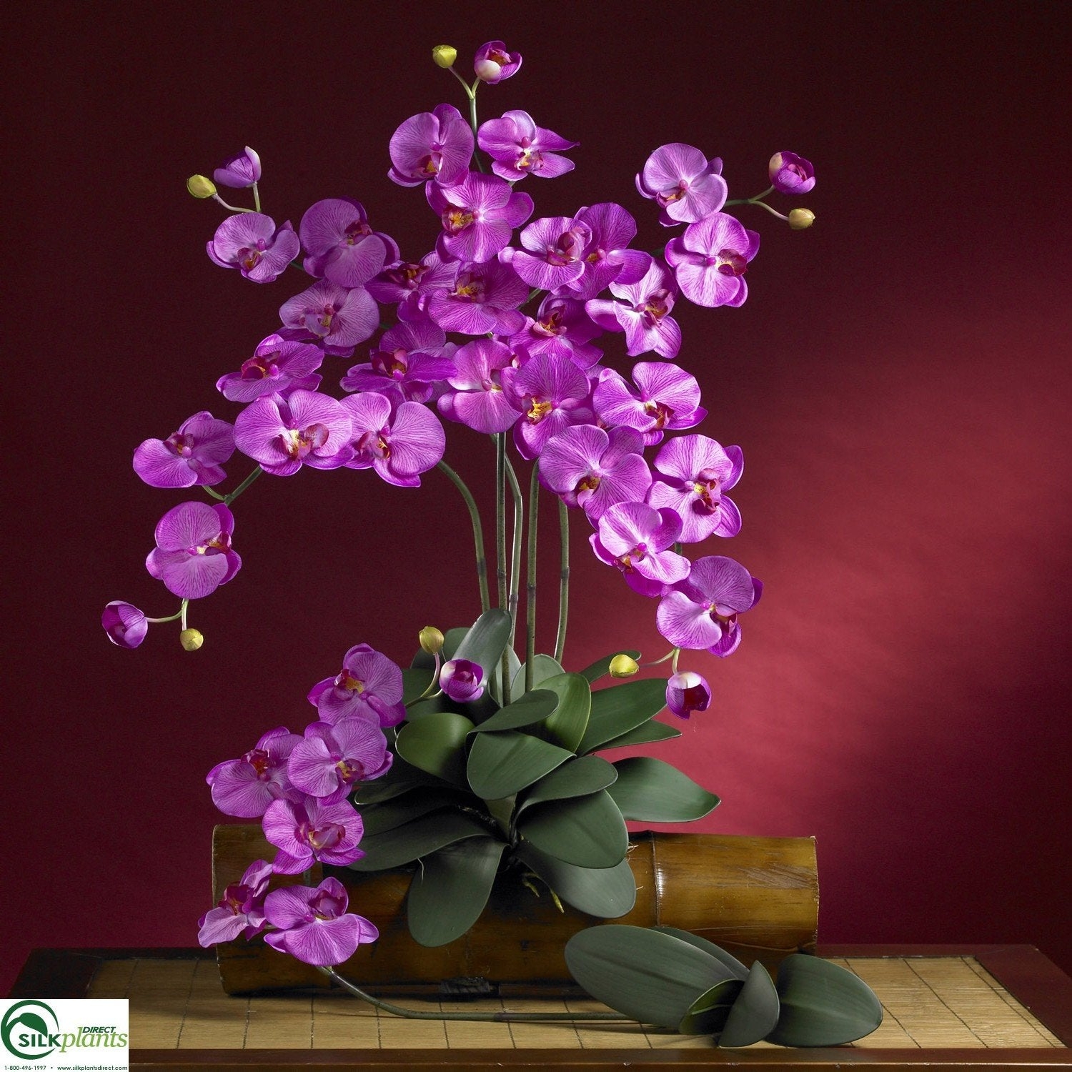 Silk Orchid Arrangement Bamboo Cylinder Base Zen Tabletop Decor