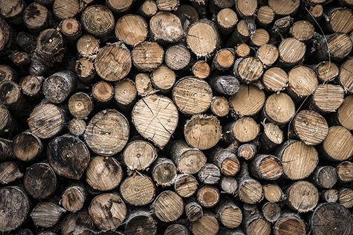 Stacked Firewood Organic Tessellation Cabin Accent Wall