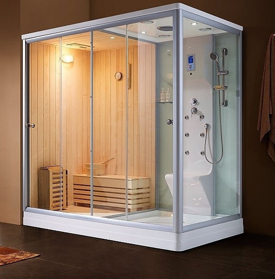 Shower Sauna Combo