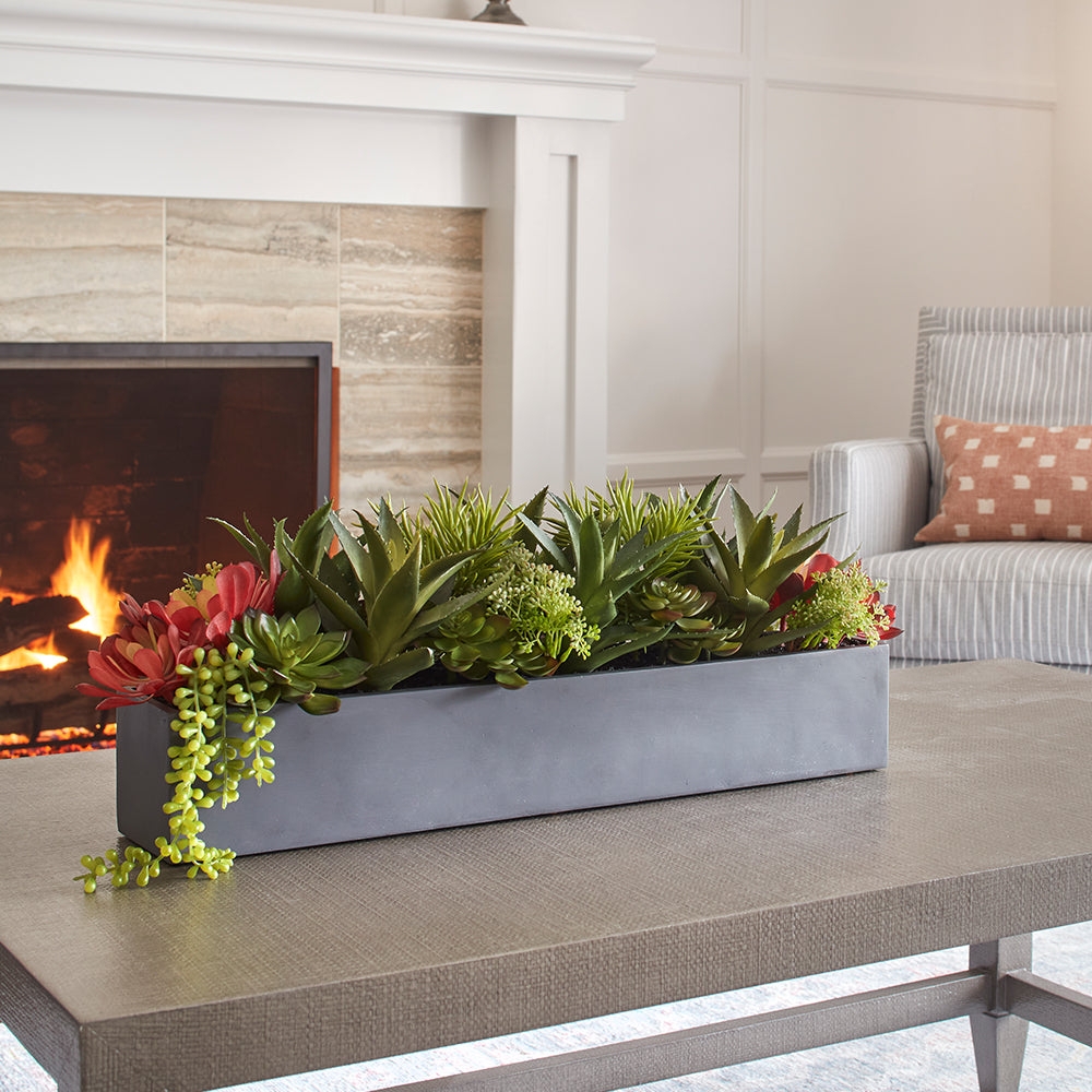 Succulent Arrangement Trailing String Of Pearls Gray Trough