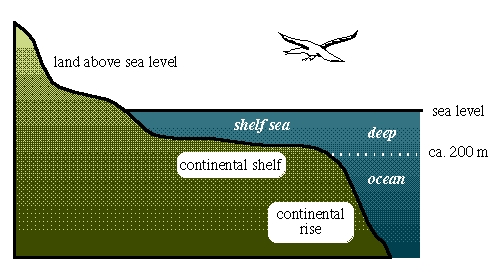 Technical Diagram: 200m Depth Line Deep Sea Profile