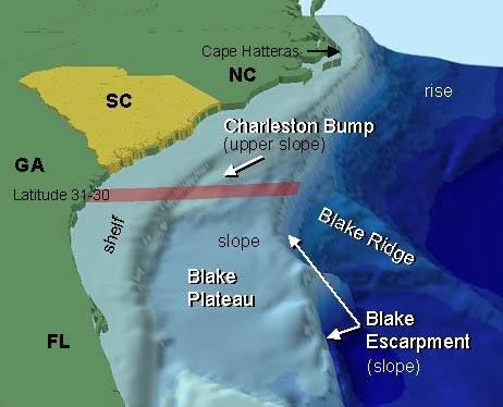 Technical Map: South Atlantic Mapping Ocean Floor Model