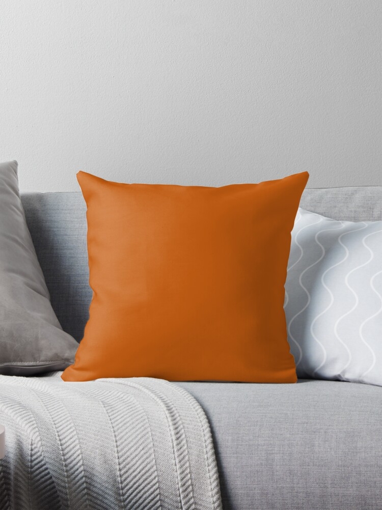 Throw Pillow Matte Finish Solid Terracotta Cushion Decor