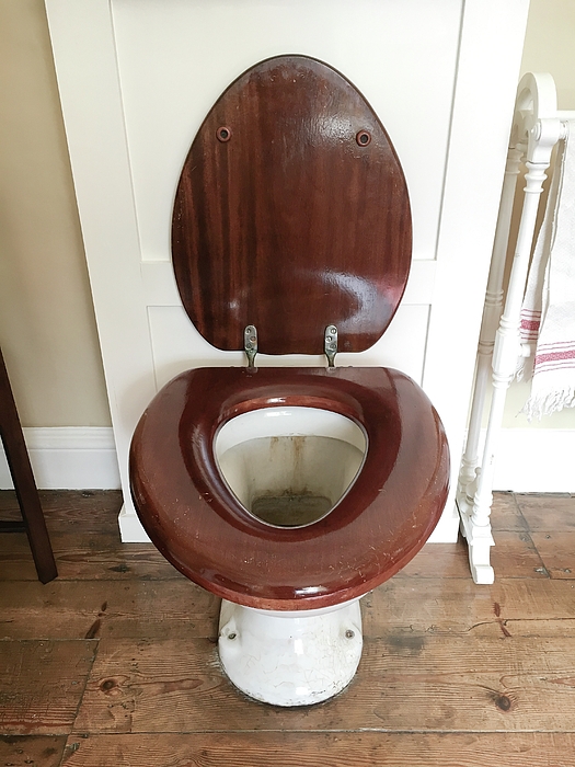 Toilet offers Oval Wooden Seat and Glossy Walnut for Farmhouse Decor