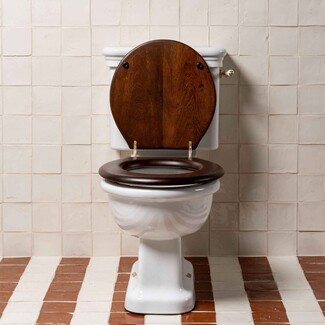 Toilet Seat in Mahogany Finish Matte Wood and Classic Brass Hinges