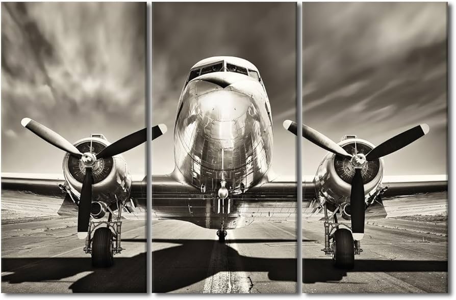 Triptych Wall Art Sepia Three Panel Vintage Airplane Triptych
