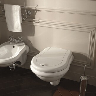Wall Mounted Toilet with Sculpted Silhouette and Luxury Floating Design