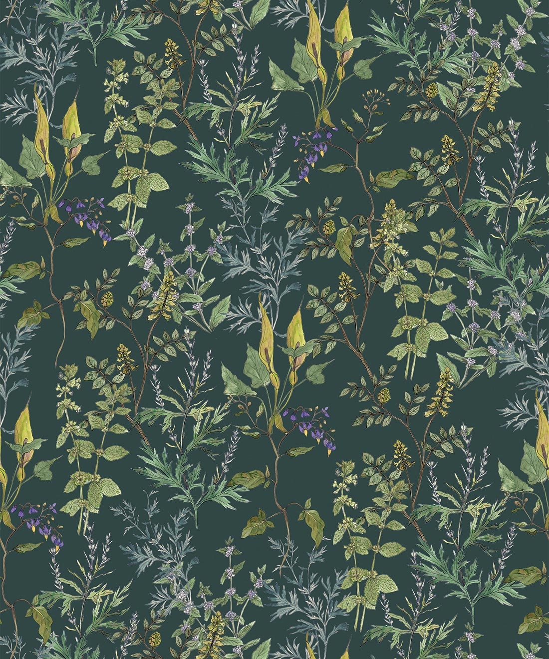 Wallpaper: Detailed Botanical Drawing Forest Green Wildflower