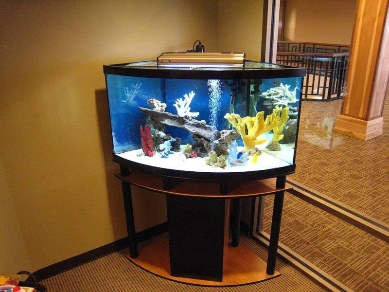 Aquarium Stand Tiered Wood Toned Bow Front Furniture