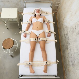 Bed Restraint Set: Clinical White Restraint Set Hardware