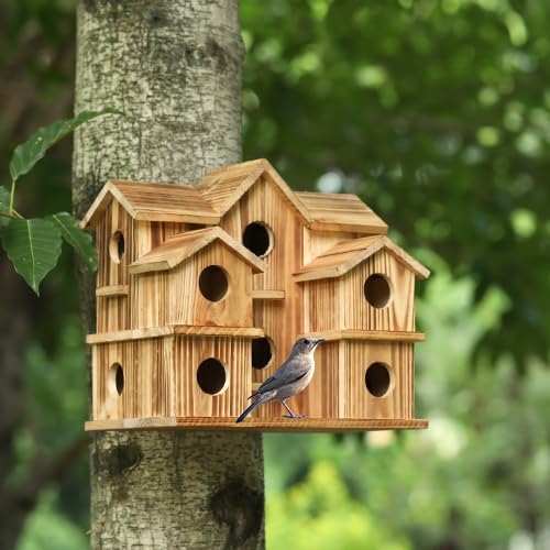 Birdhouse: 10-Compartment Multi-Family Wooden Birdhouse