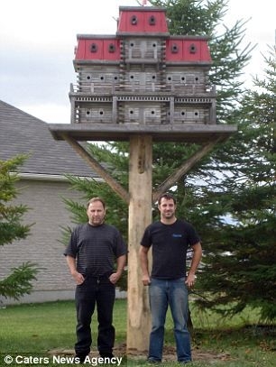 Birdhouse: 103 Rooms Mansard Roof Luxury Bird Mansion
