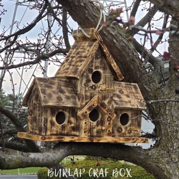 Birdhouse: Gabled Pine Multi-Room Scorched Birdhouse