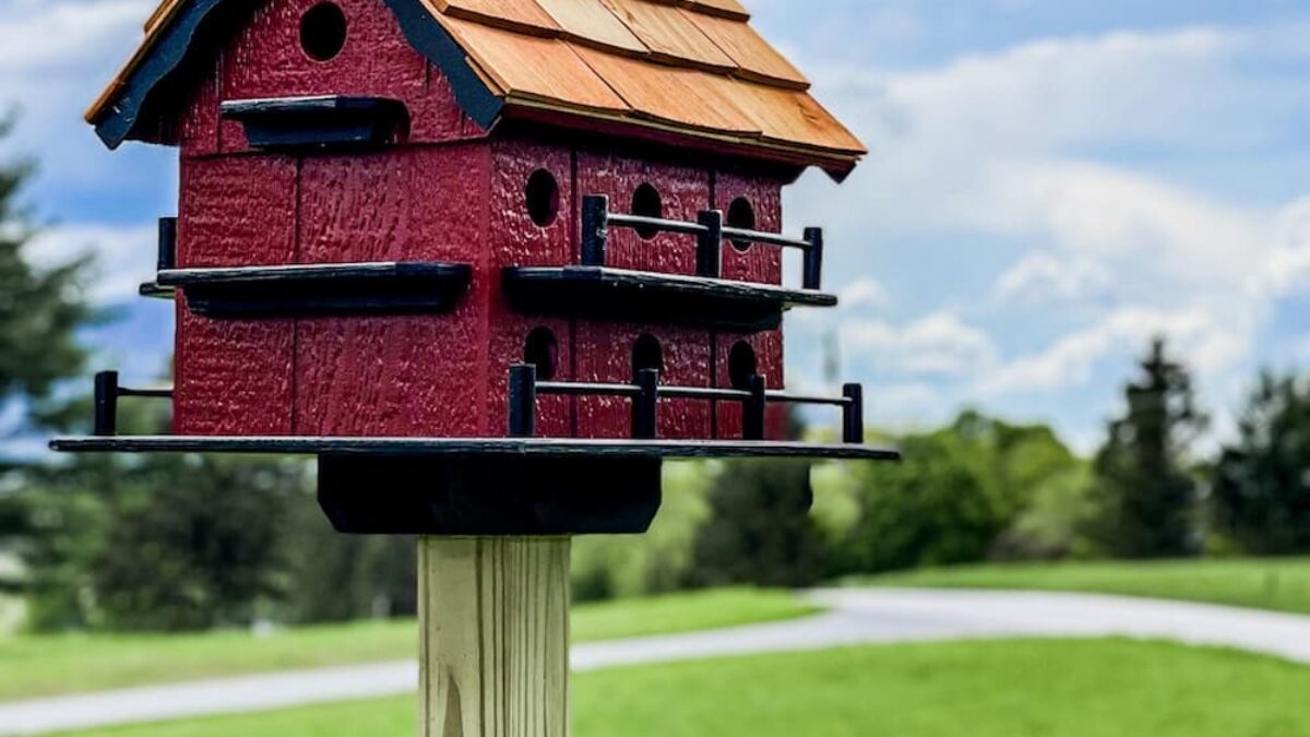 Birdhouse: Multi-Story Apartments Red Amish Birdhouse