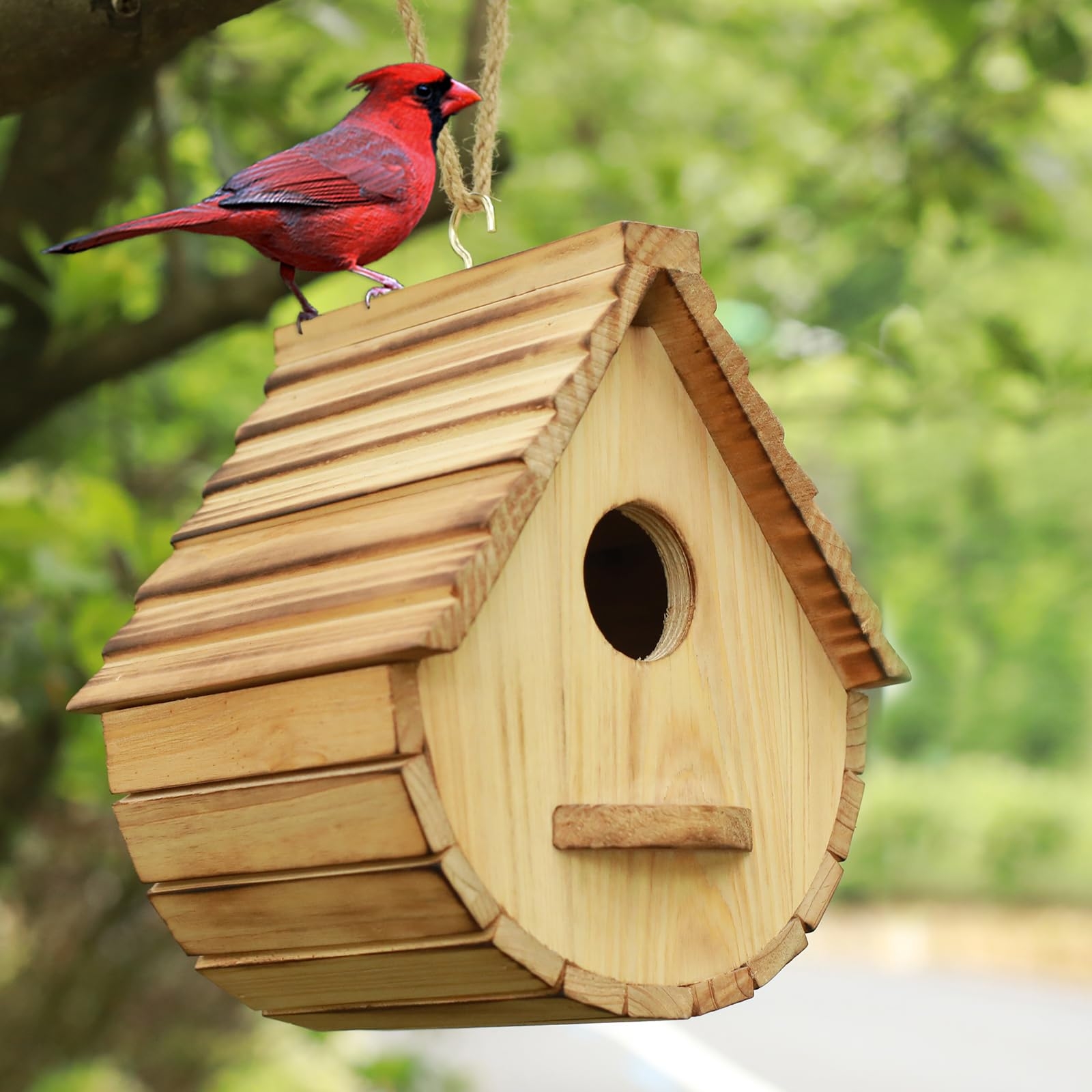 Birdhouse: Teardrop Shape Modern Wooden Birdhouse