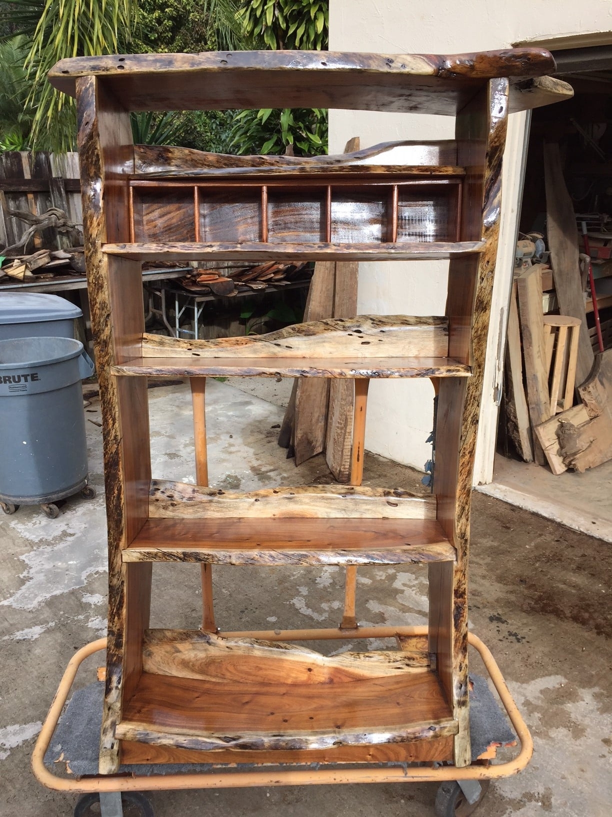 Bookcase Integrated Cubbies Thick Organic Wood Slabs