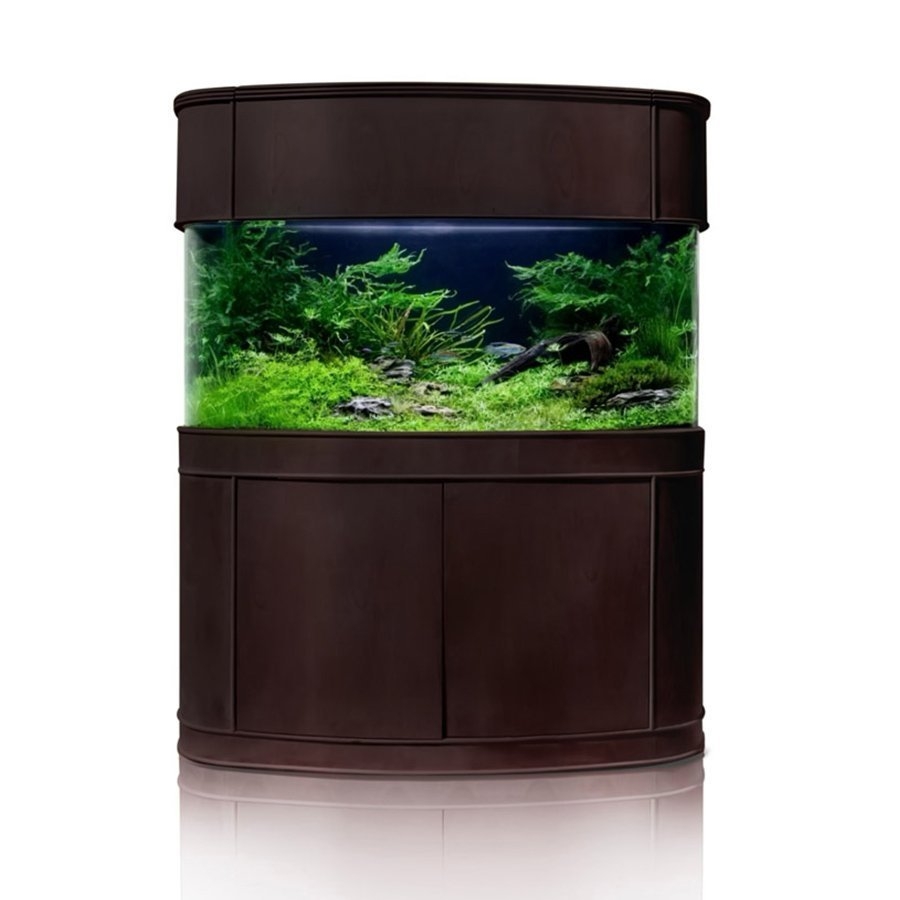 Bow Front Aquarium Dark Wood Finish Integrated Canopy