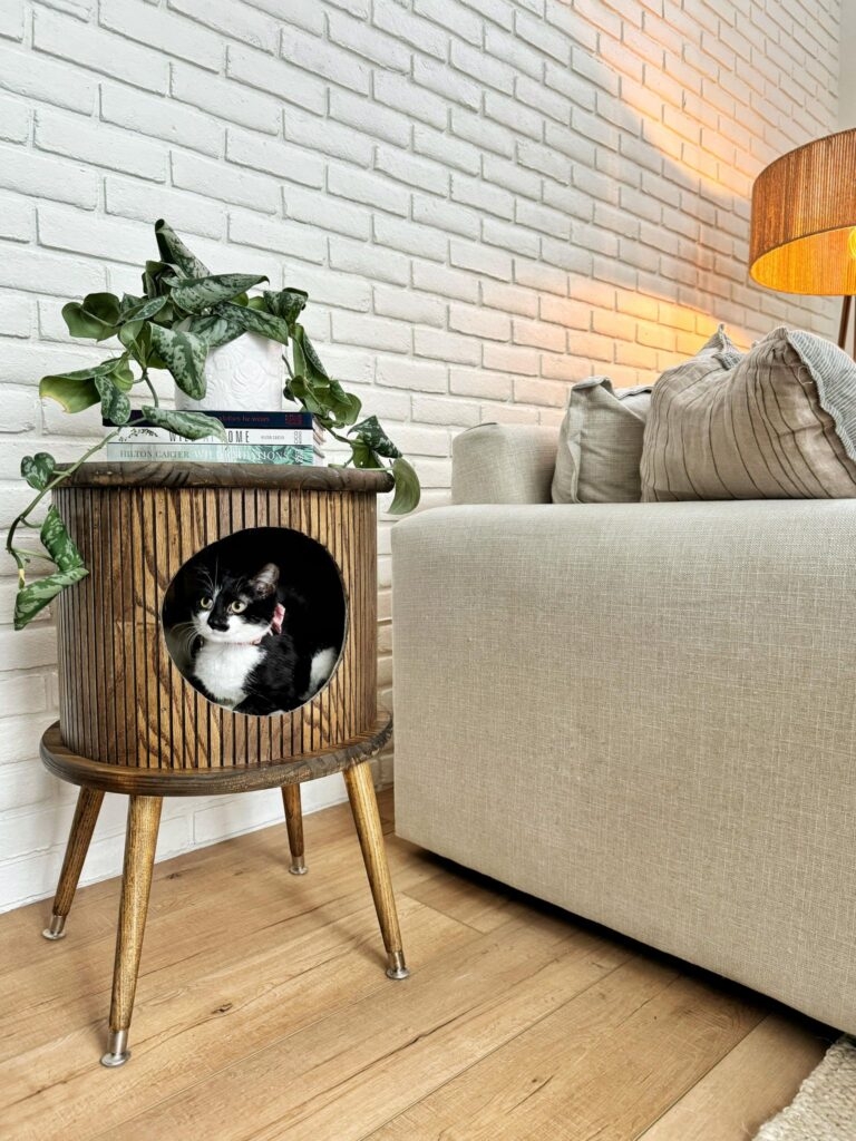 Cat Bed End Table Tambour Wood Texture Circular Hole