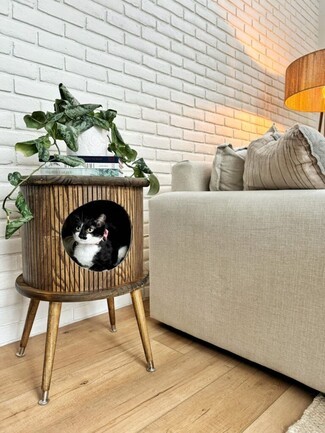 Cat Bed End Table Tambour Wood Texture Circular Hole