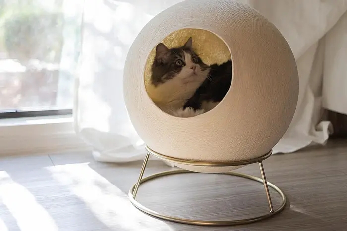 Cat House Spherical Shell With Elevated Wire Stand