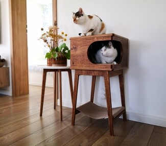 Cat House With Integrated Hammock and Tapered Legs