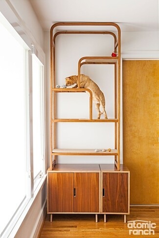 Cat Tree Cabinet With Bentwood Frame and Storage