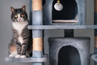 Cat Tree: Sisal Wrapped Posts Charcoal Plush Furniture