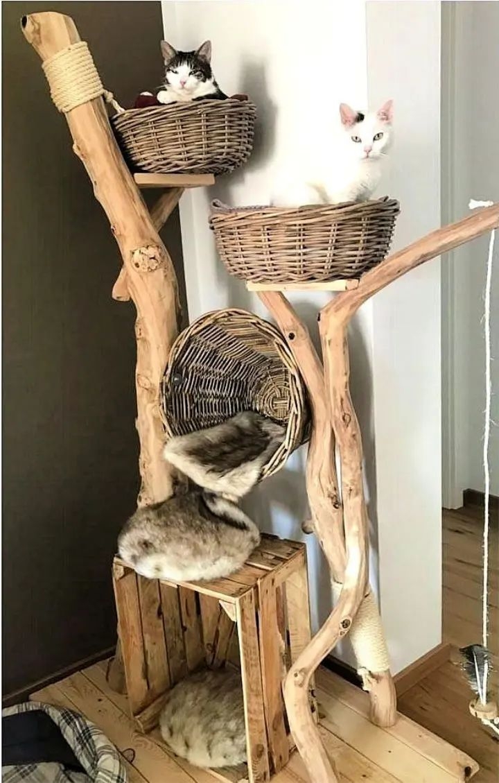 Cat Tree With Natural Branch Aesthetic and Wicker Nests