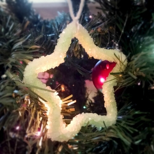Christmas Ornament Crystalline Texture DIY Borax Crystal Star