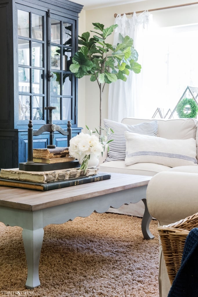 Coffee Table with Two-Tone Finish and Scalloped Apron Design