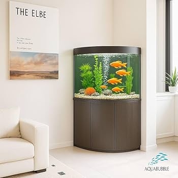 Corner Aquarium Dark Brown Curved Front 54 Gallon Tank