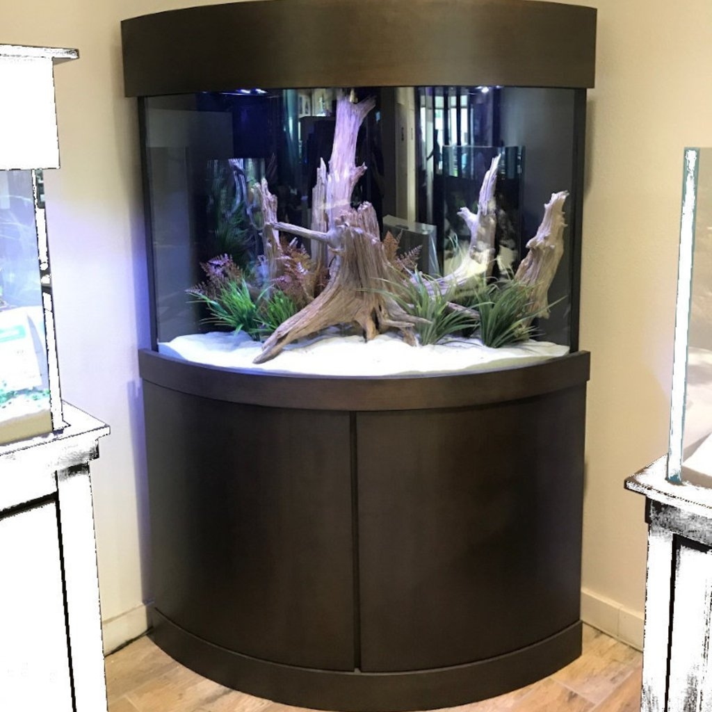 Corner Aquarium Espresso Bowfront Glass and Custom Cabinetry