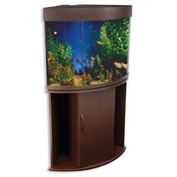 Corner Aquarium Espresso Brown Bow Front Stand Combo
