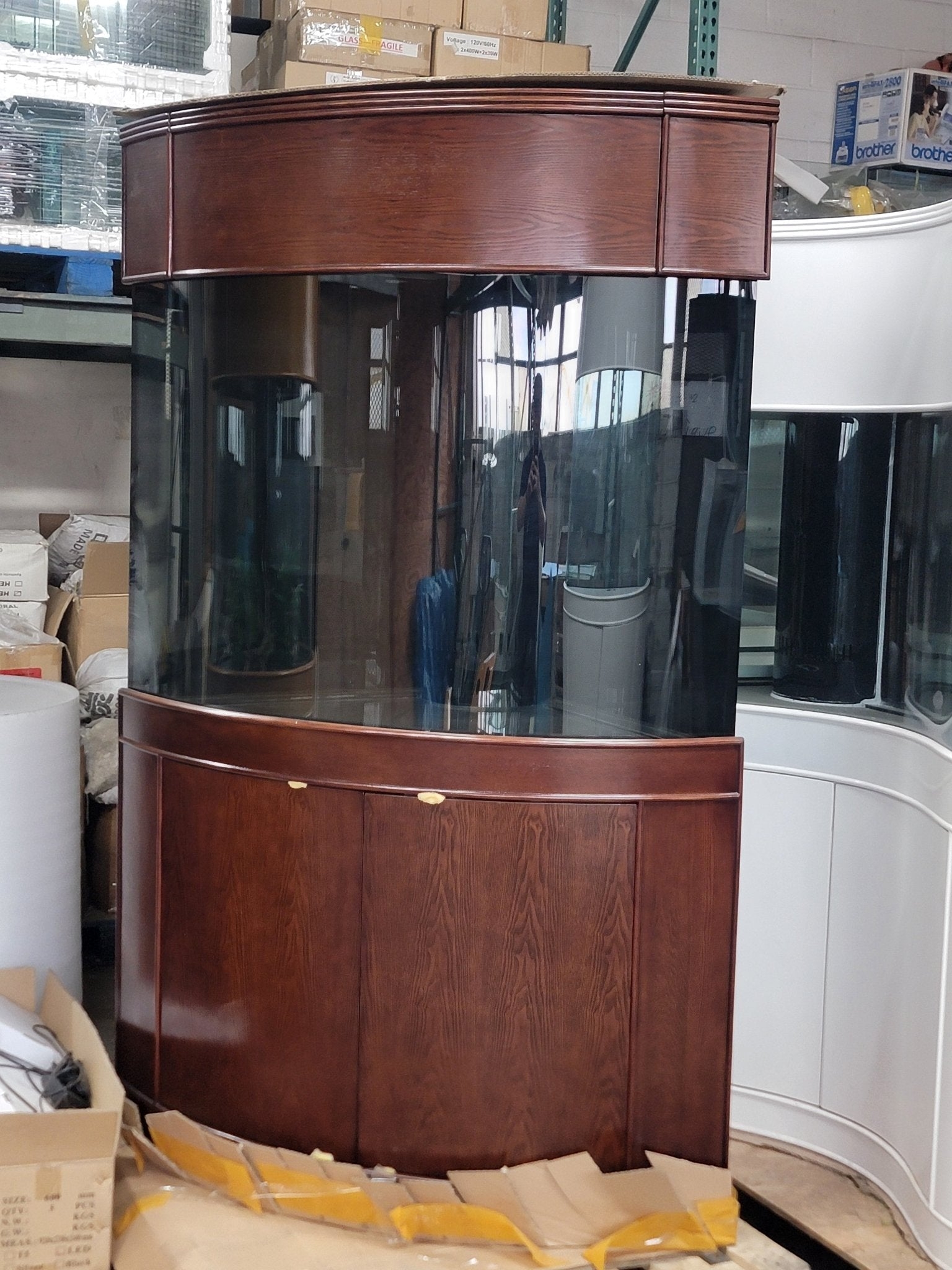 Corner Aquarium Mahogany Curved Glass Display Unit