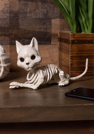 Decorative Figurine: Heart Shaped Nose Cat Skeleton