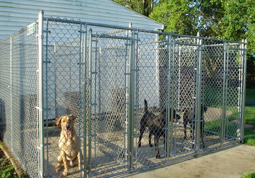 Dog Kennel: Modular Sections High Visibility Mesh Run
