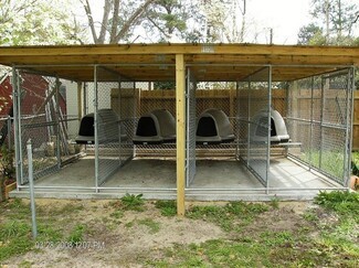 Dog Kennel: Multi-Run Layout with Igloo Pet Shelters
