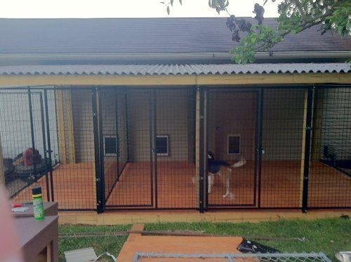 Dog Kennel: Raised Flooring Multiple Run Design Setup