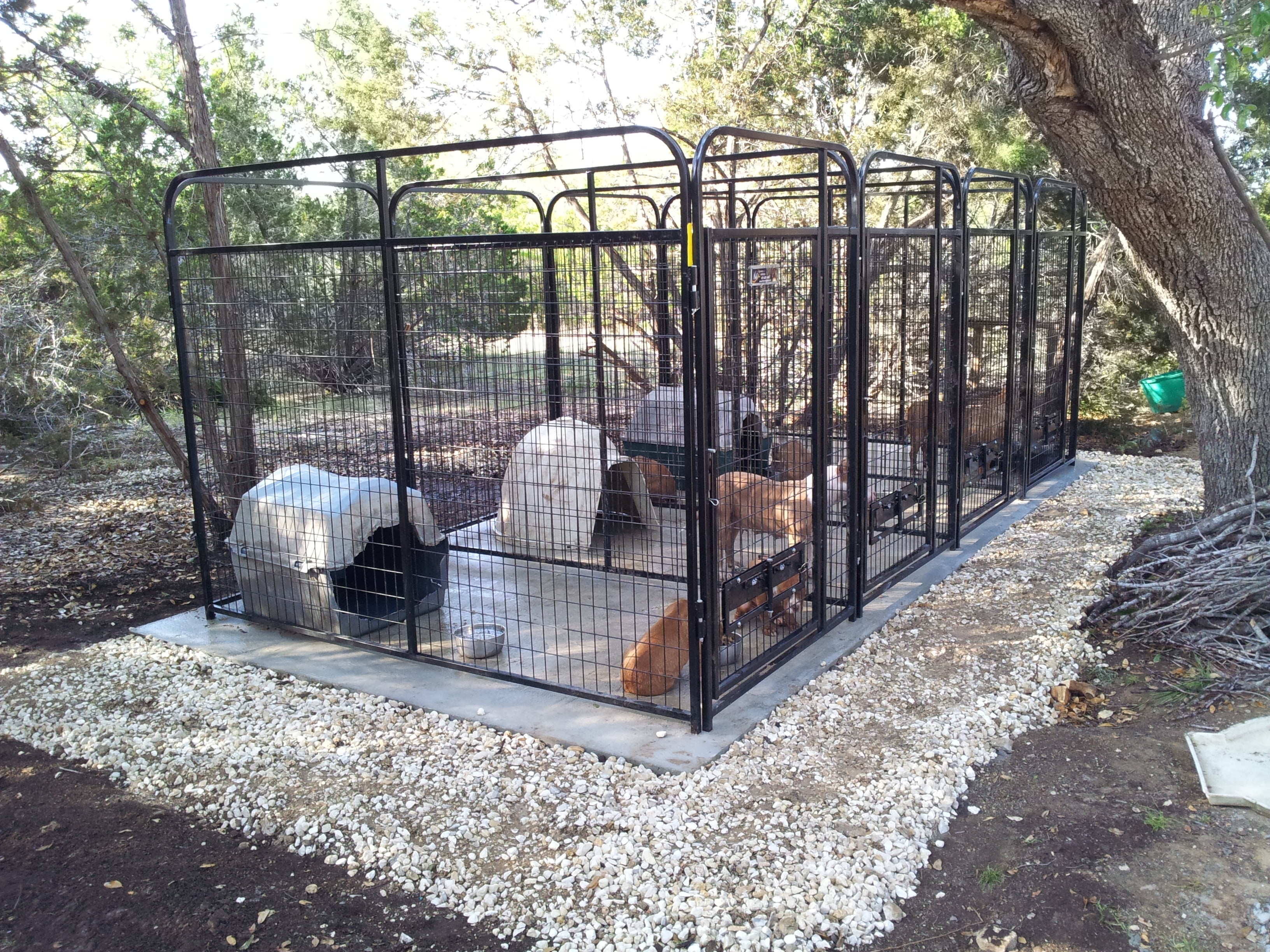 Dog Kennel: Rounded Top Frame Black Metal Enclosure
