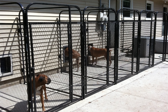 Dog Kennel Run: Arched Top Modular Multiple Runs