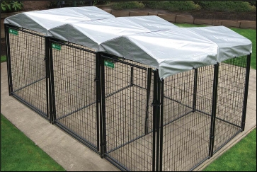Dog Kennel: Triple Unit with Gabled Fabric Roof Canopies