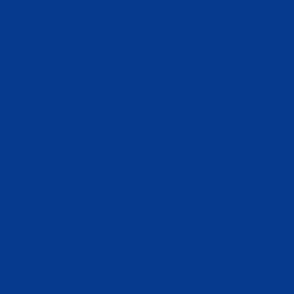 Fabric Swatch solid cobalt minimalist textile